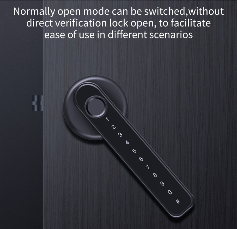 Fingerprint Door Lock